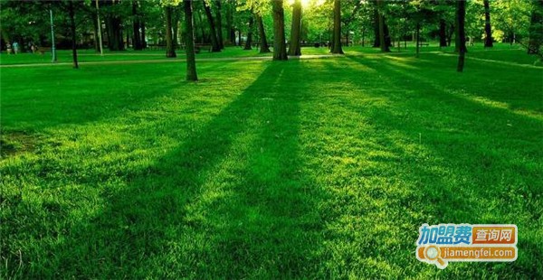 近视康复中心加盟