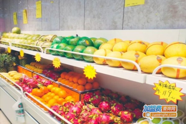 领沛鲜果加盟店