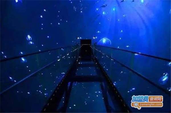 ar魔幻儿童乐园加盟店