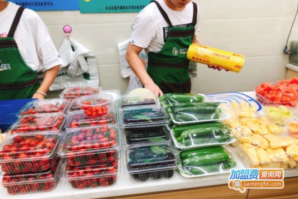 领沛鲜果加盟费