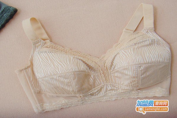 古今文胸加盟费