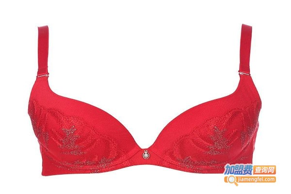 古今文胸加盟费