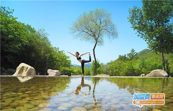 扶阳透灸加盟店