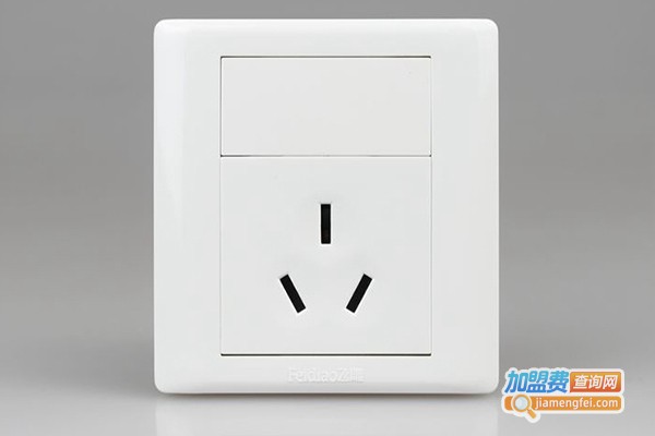 飞雕开关加盟店