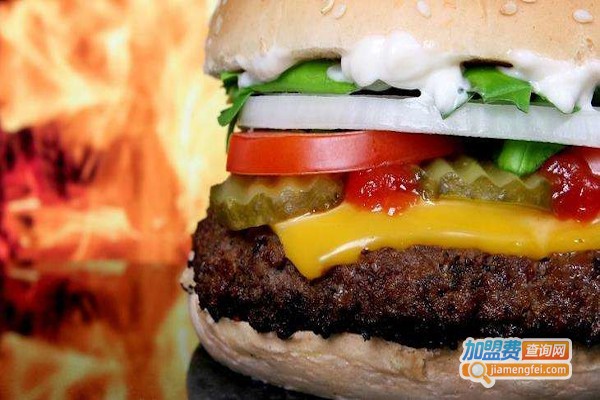 多莱士汉堡加盟费