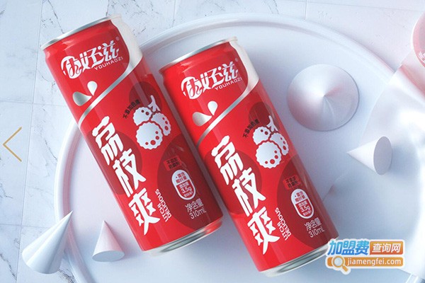 荔枝爽饮料加盟费