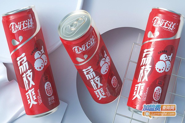 荔枝爽饮料加盟店