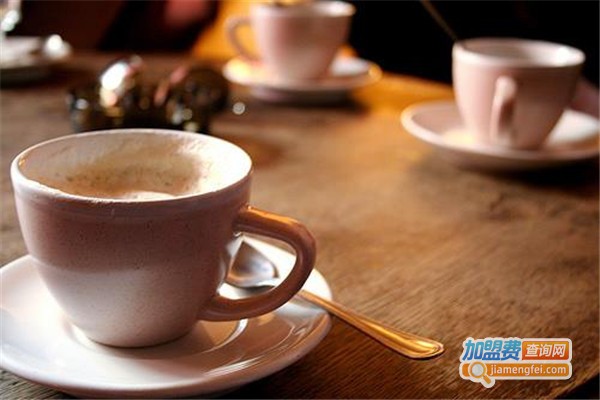 董小姐的宠猫咖加盟费