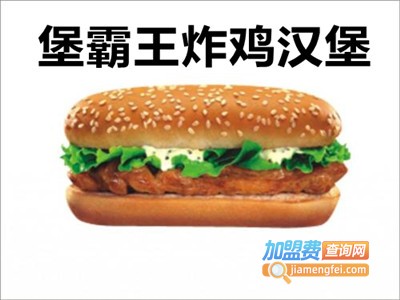 堡霸王炸鸡汉堡