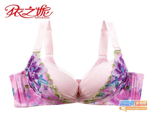 依之妮文胸加盟费_投资依之妮文胸加盟费是多少？