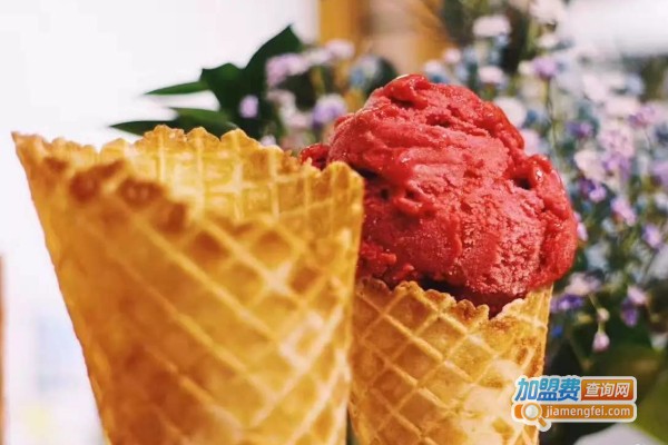 手摇冰淇淋加盟费