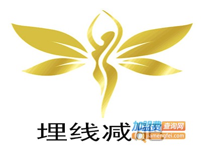埋线减肥加盟费