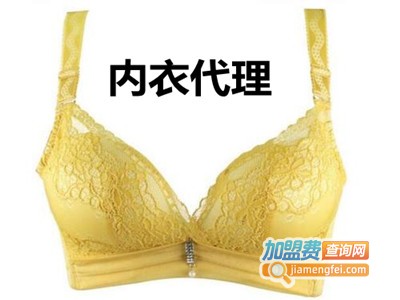 内衣代理