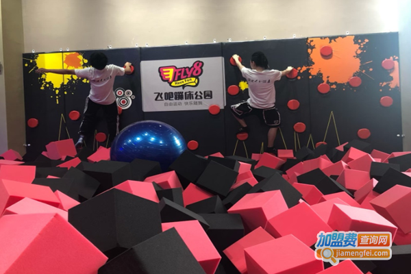 飞吧蹦床主题公园加盟费