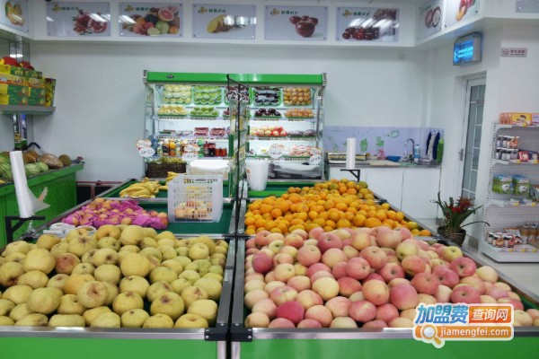 金金果行加盟费