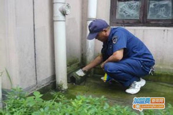 除四害公司加盟费