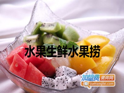 水果生鲜水果捞加盟