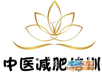 中医减肥培训