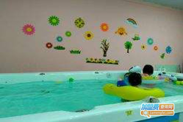 大宝小宝孕婴童加盟费