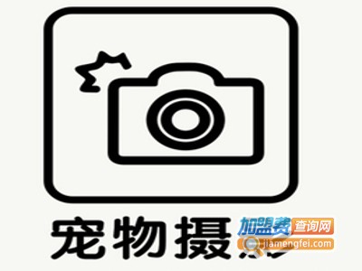 宠物摄影