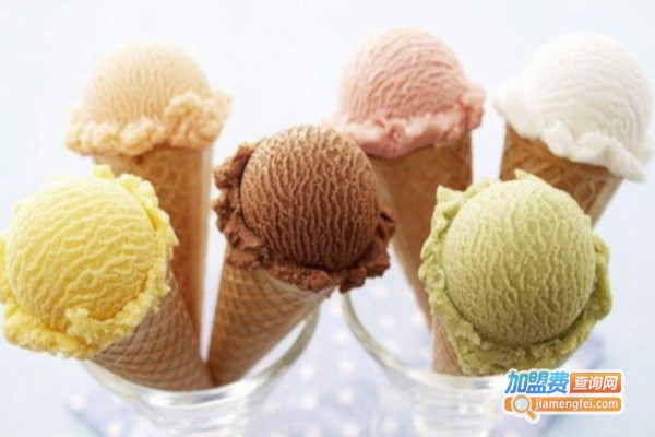 雪纯冰淇淋加盟费