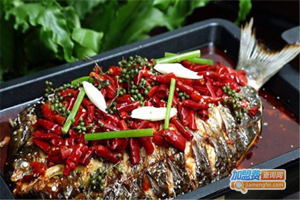 贡鱼烤鱼加盟费