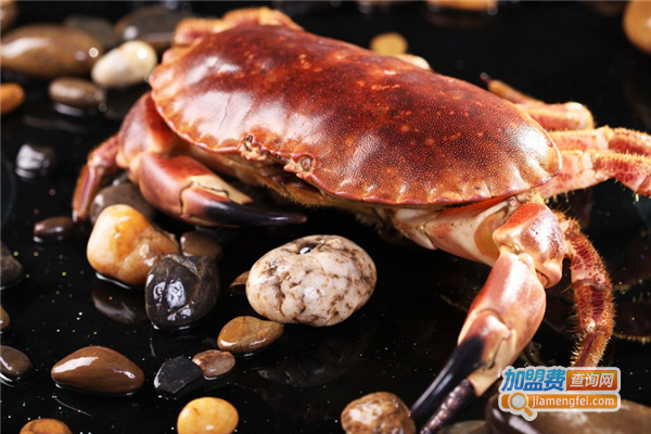 苏老邪渔铺加盟费