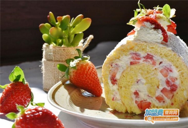 新法澳泽加盟费