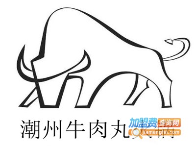 潮州牛肉丸火锅