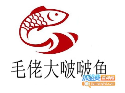 毛佬大啵啵鱼加盟费