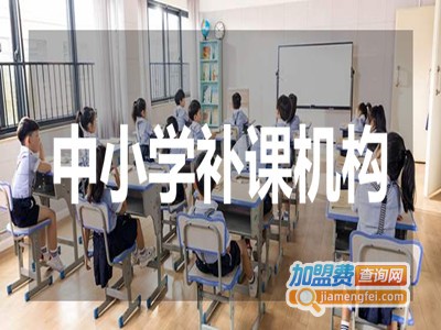 中小学补课机构加盟费