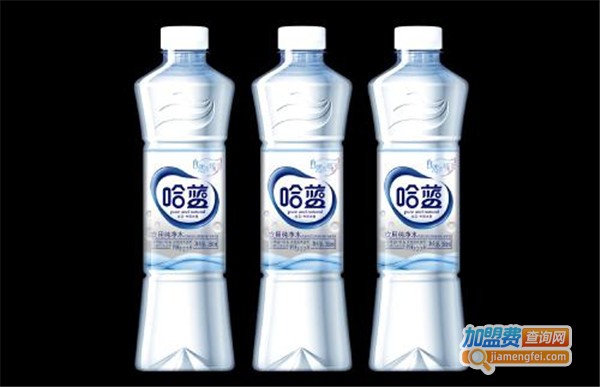 哈蓝饮品加盟费