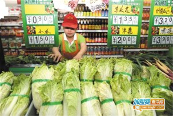 社区菜篮子连锁加盟