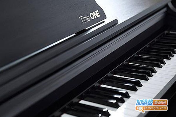 TOP钢琴速成教学加盟费