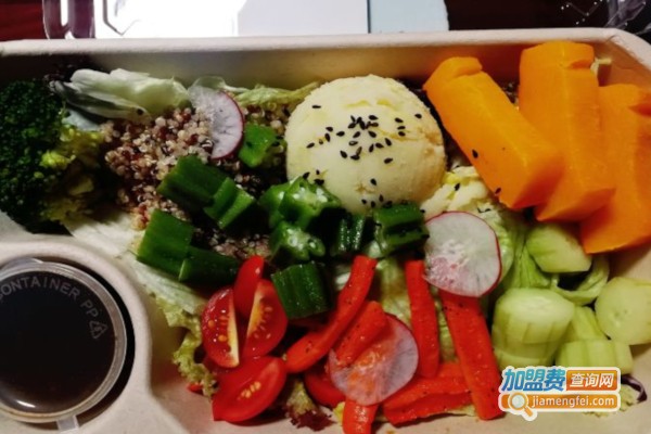 SummerGreen夏绿轻食加盟费