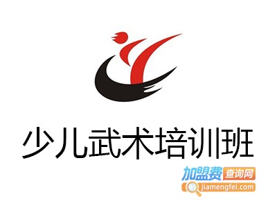 少儿武术培训班