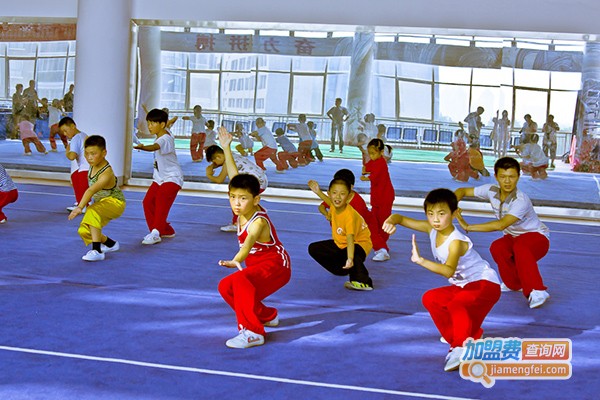 少儿武术培训班加盟店