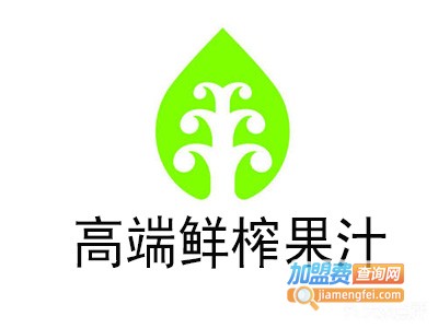 高端鲜榨果汁加盟费
