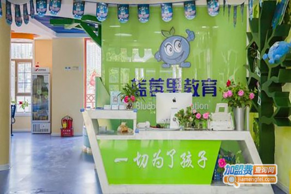 蓝莓果幼小衔接加盟费