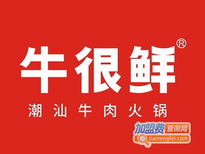 牛很鲜火锅加盟费