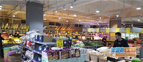 阿迪尔生活超市加盟费