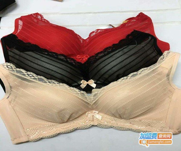 新女性内衣加盟费是多少钱？来了解新女性内衣的开支明细！