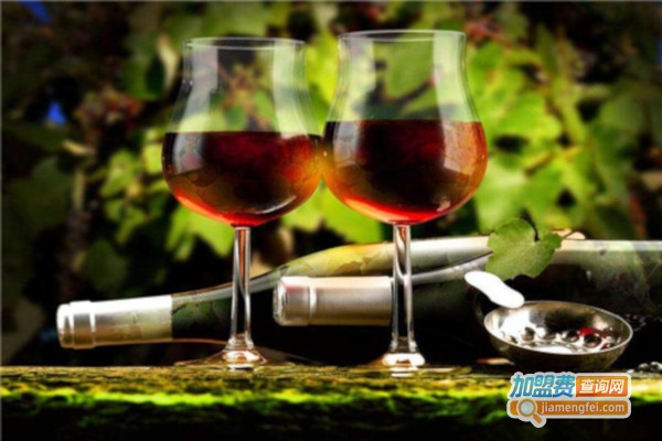 MERRYPENGUINS醉企鹅葡萄酒加盟