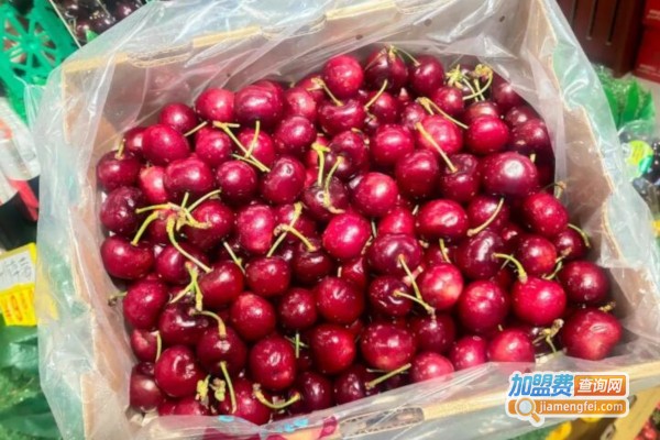 鲜果拍档加盟店