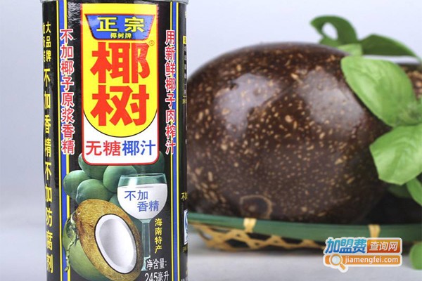 椰树牌椰汁加盟门店