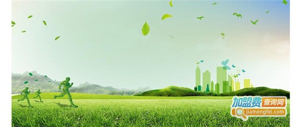 净化甲醛加盟店