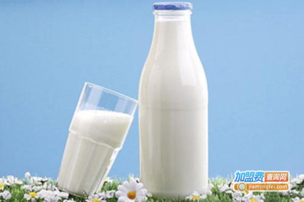 乳品加盟费