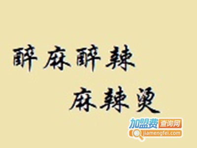 醉***辣麻辣烫加盟费