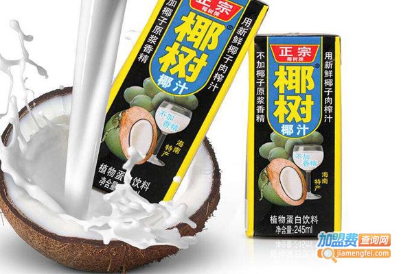 椰树牌椰汁加盟门店