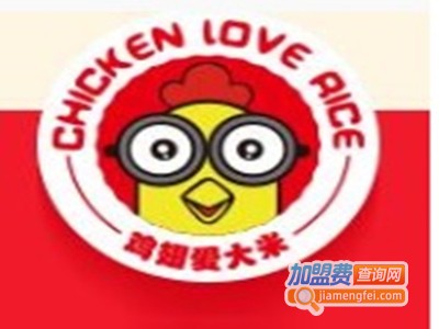 鸡翅爱大米鸡翅饱饭